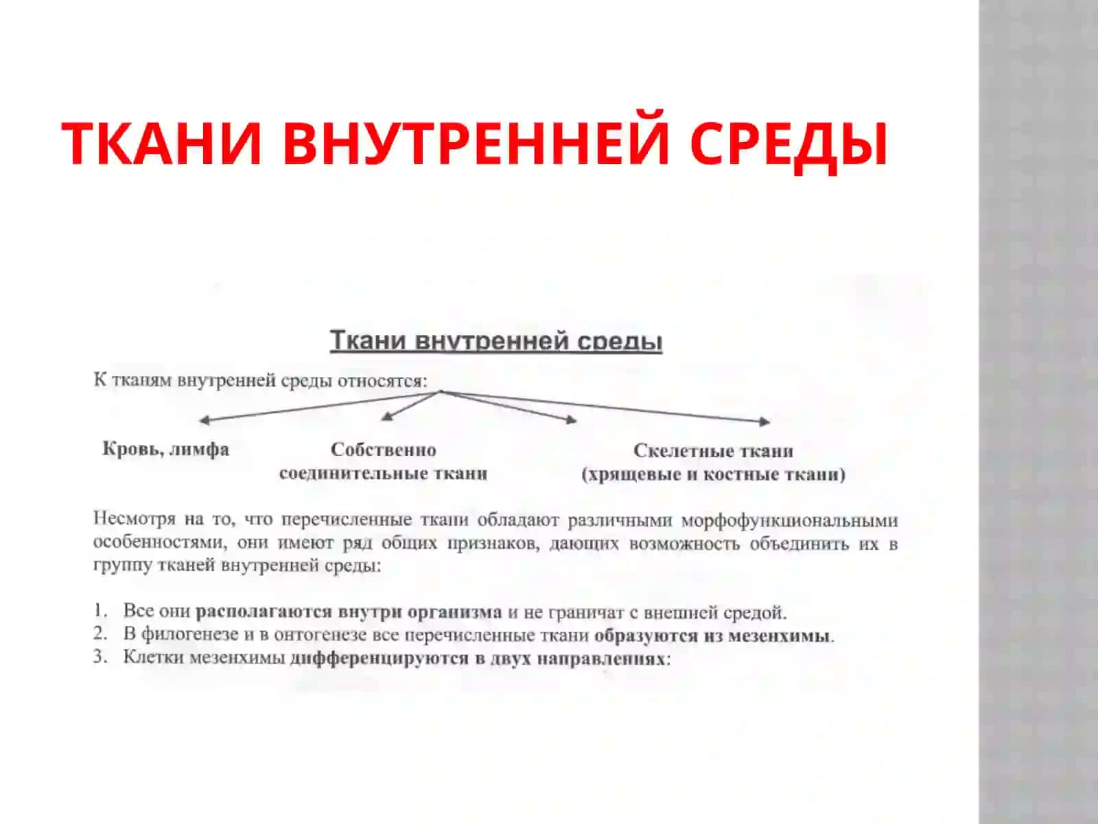 Ткани внутренней среды 2