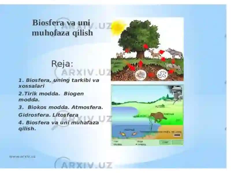 Biosfera va uning hozirgi muammolari 2