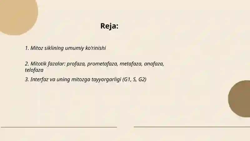 Mitoz sikli 2