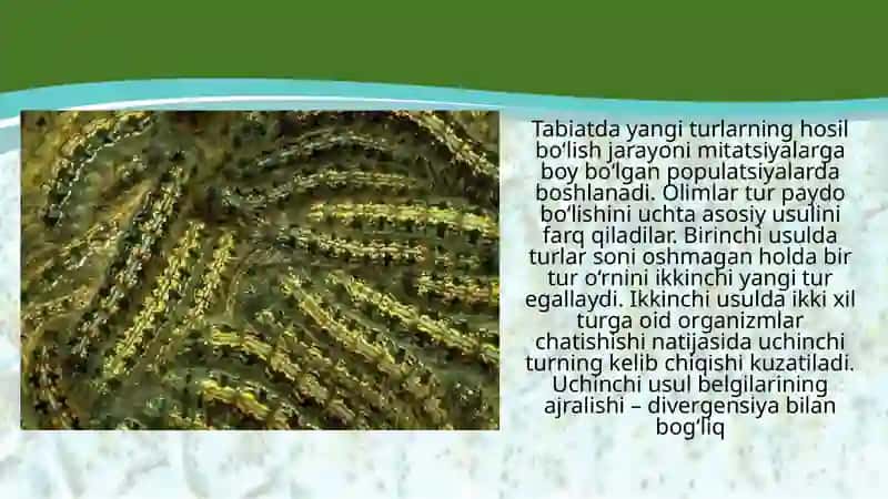 Turlarning paydo bo‘lishi 2