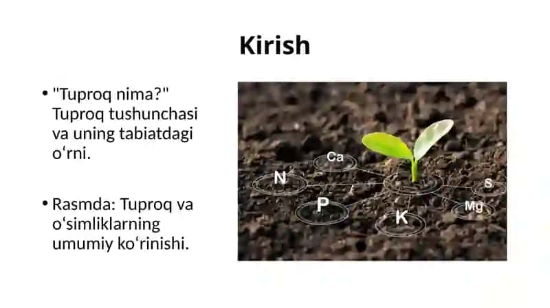 Tuproq va uning xususiyatlari 2