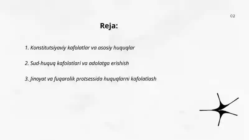 Inson huquq va erkinliklarining kafolatlari 2