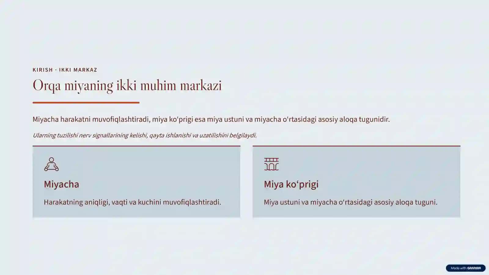 Miyacha va miya ko‘prigi anatomiyasi 2