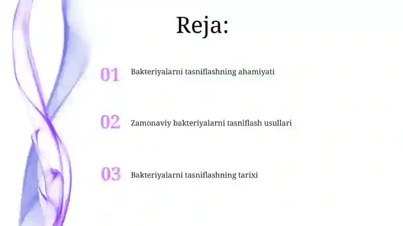 Bakteriyalar tasnifi 2