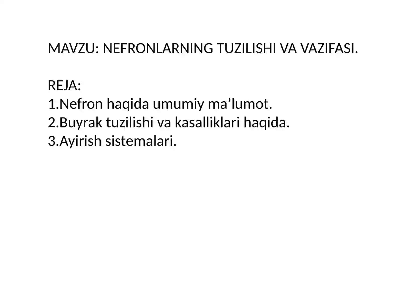 Nefronlar Tuzilishi va Vazifasi 2