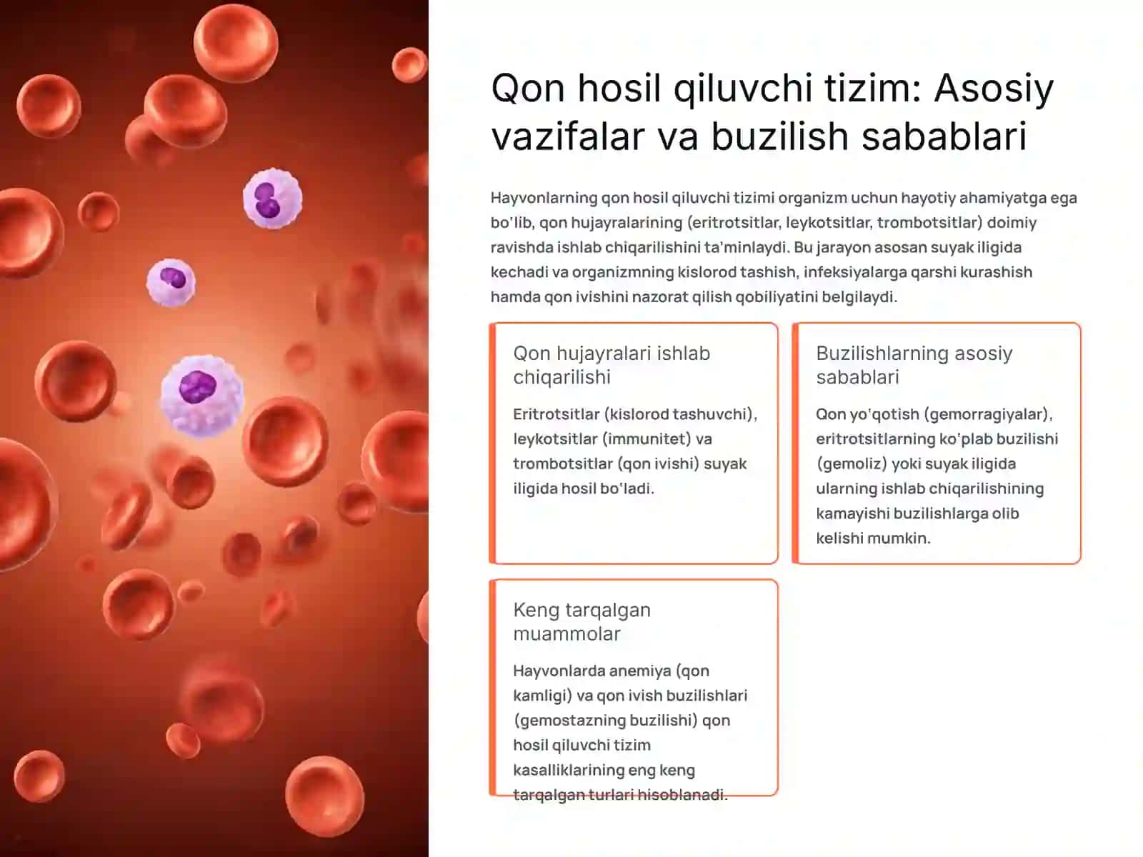 Hayvonlarda qon hosil qiluvchi tizim faoliyati buzulishi va uning farmakoterapiyasi 2