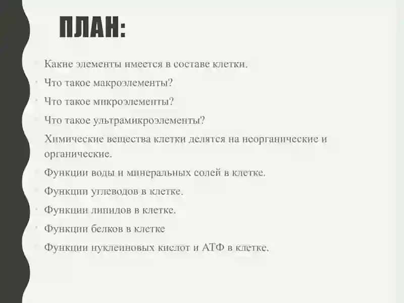 Химический состав клетки 2