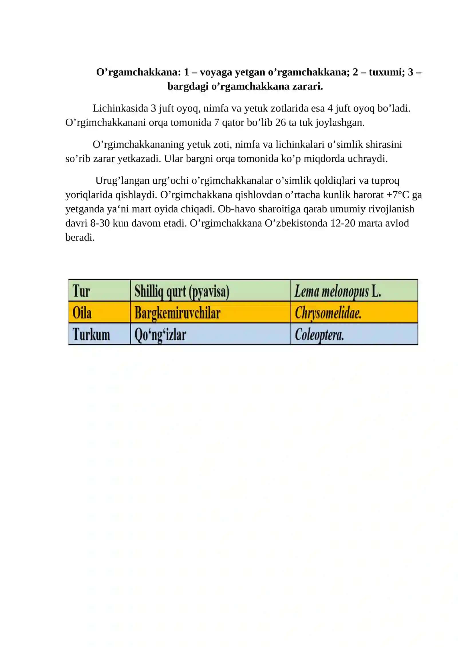 O’rgimchakkana va shilliqqurtlarning morfologiyasini o’rganish 2