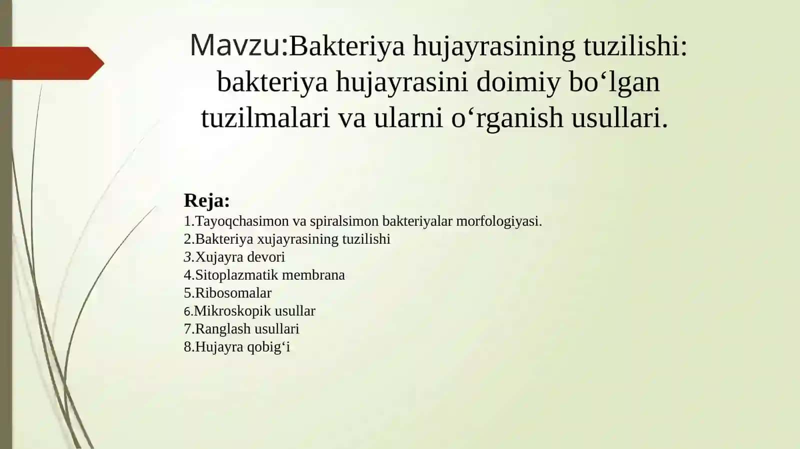 Bakteriya hujayrasining tuzilishi: bakteriya hujayrasini doimiy bo‘lgantuzilmalari va ularni o‘rganish usullari. 2