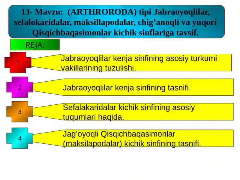 (ARTHRORODA) tipi Jabraoyoqlilar, sefalokaridalar, maksillapodalar, chig’anoqli va yuqori Qisqichbaqasimonlar 2