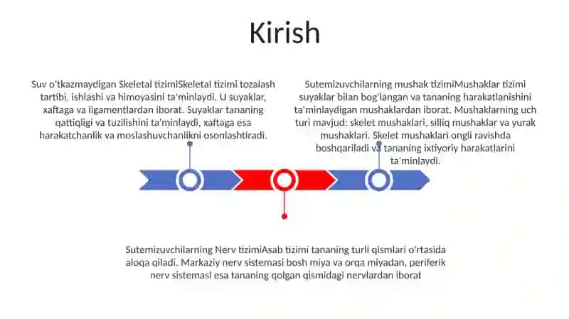 Sutemizuvchilarning Skelet Va Muskul Sistemasi 2