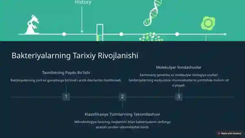 Bakteriyalarning Klassifikatsiyasi, Taksonomiyasi va Nomenklaturasi 2
