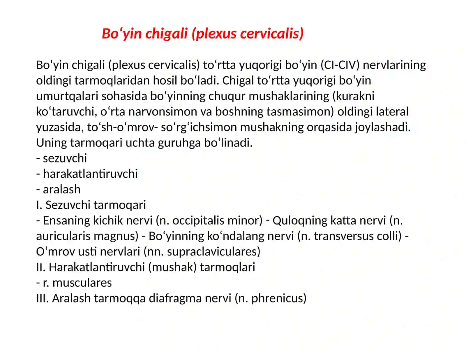 BO`YIN CHIQALI ANATOMIYASI 2