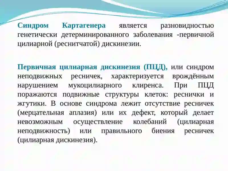 Синдром Картагенера 2