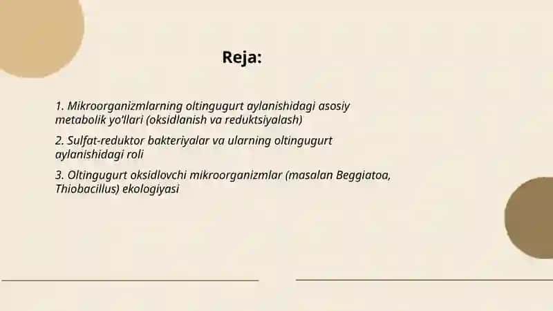 Oltingugurt fosfor va temir tabiatda aylanishida mikroorganizmlarning roli 2
