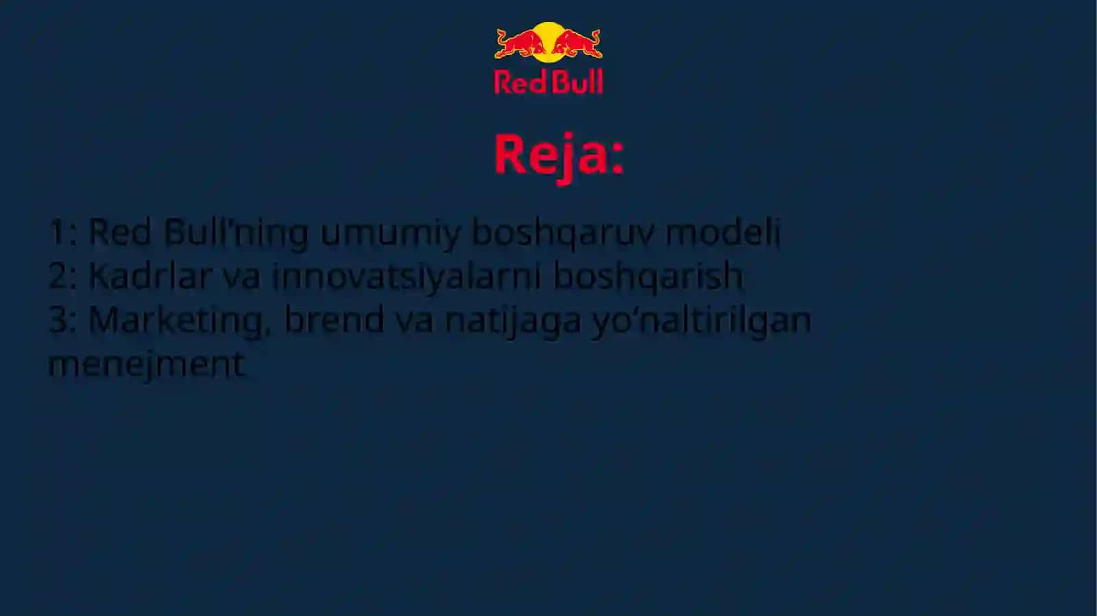 Red Bull’ning umumiy boshqaruv modeli 2