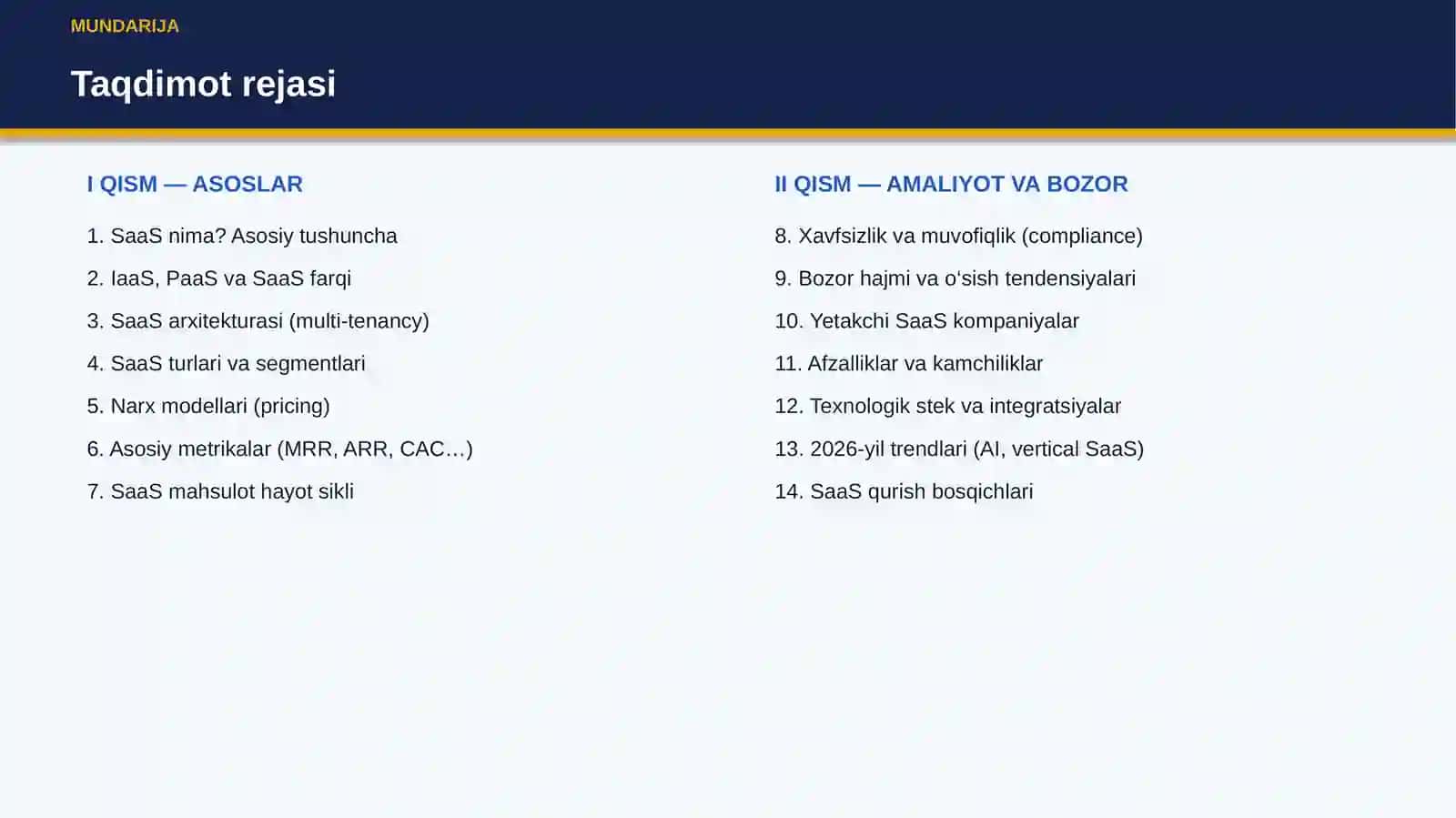 SaaS PLATFORMA 2