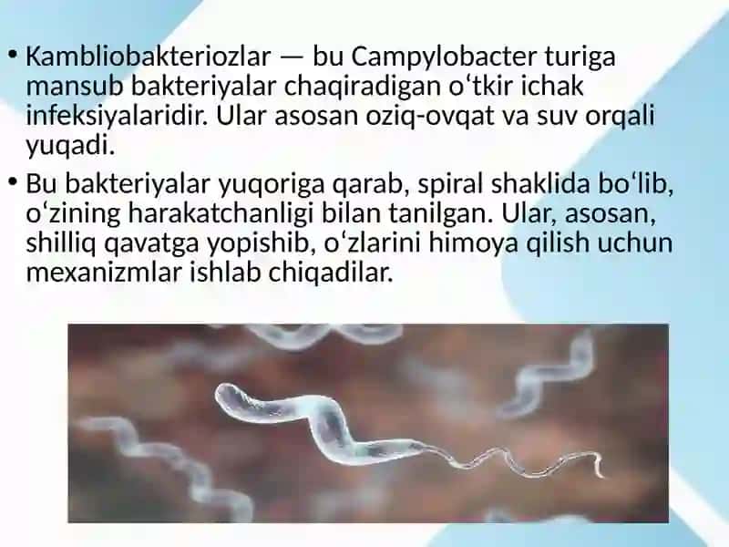 Kampliobakteriozlar 2