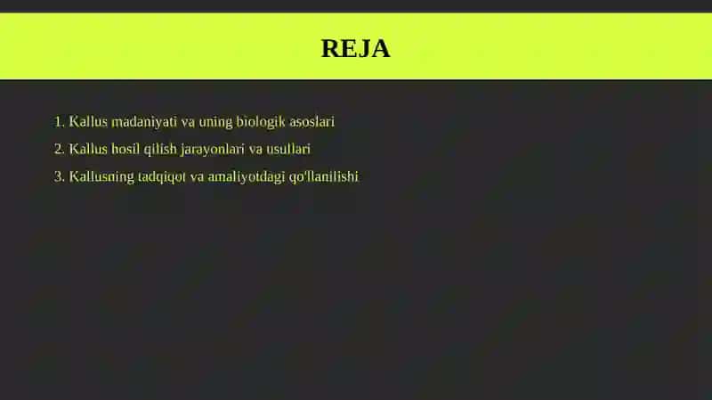 Kallus madaniyati. 2