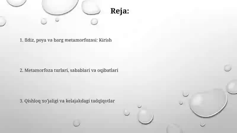 Ildiz, poya va barg metamorfozi 2