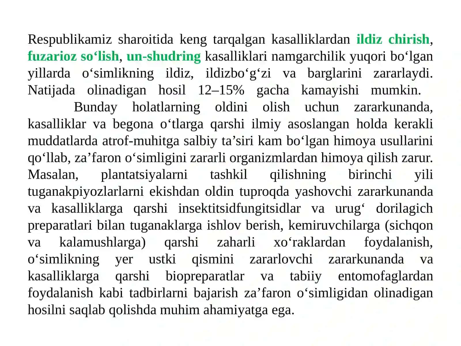 Shafran o’simligidagi patalalogik o’zgarishlar 2
