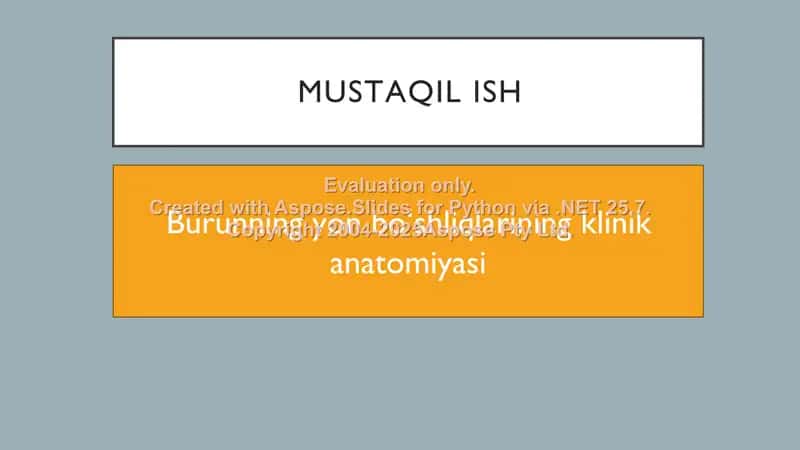 Burunning yon boʻshliqlarining klinik anatomiyasi 2