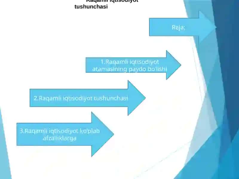 Raqamli iqtisodiyot ning platformasi va ekotizimi 2