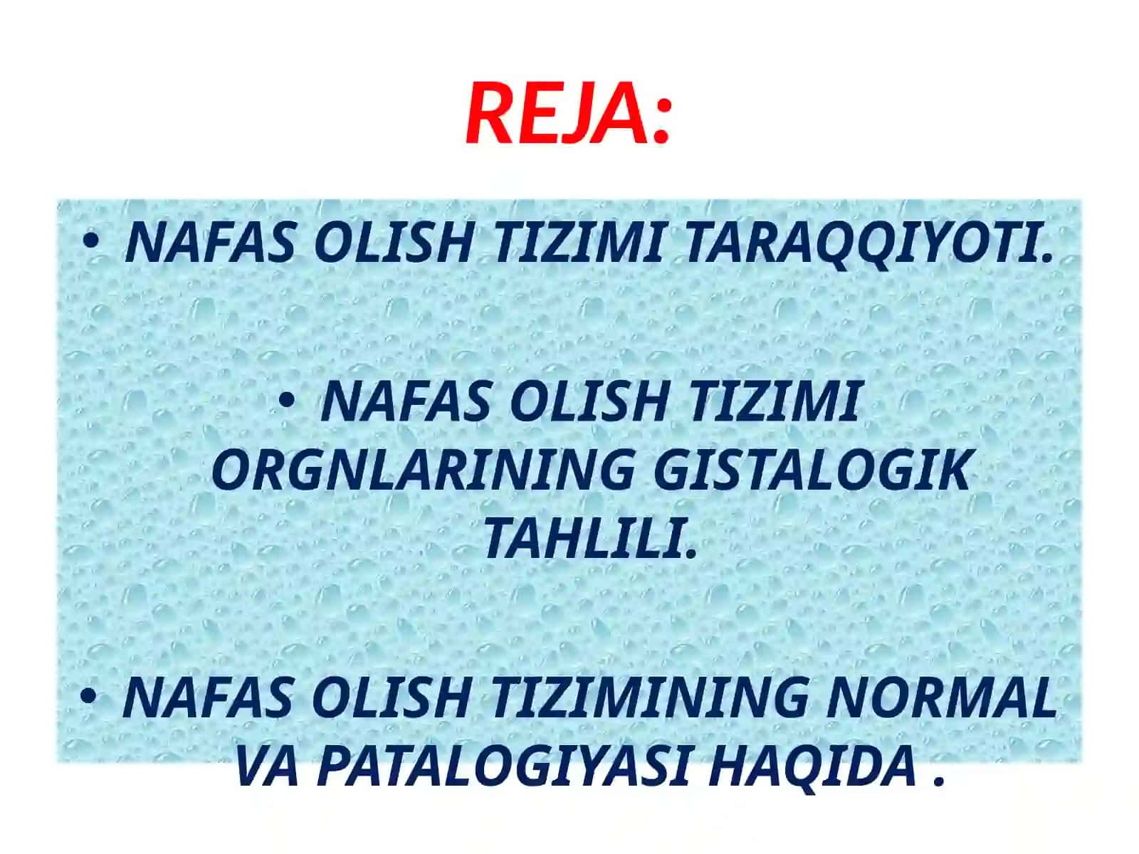Nafas olishtizimi 2