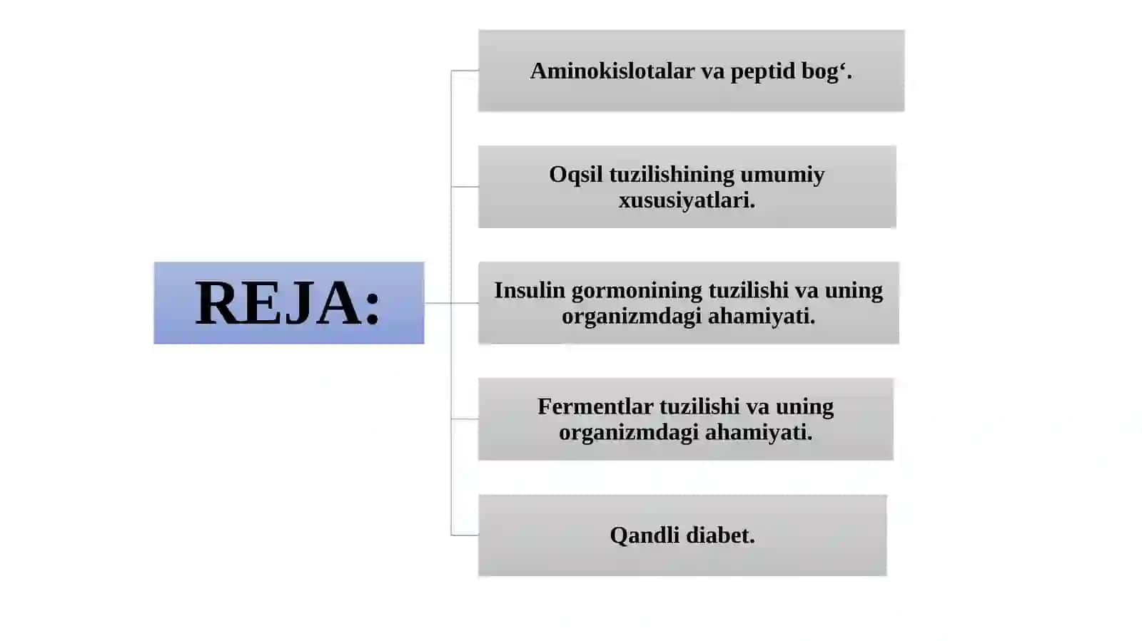 Aminokislotalarvapeptidbog‘lar 2
