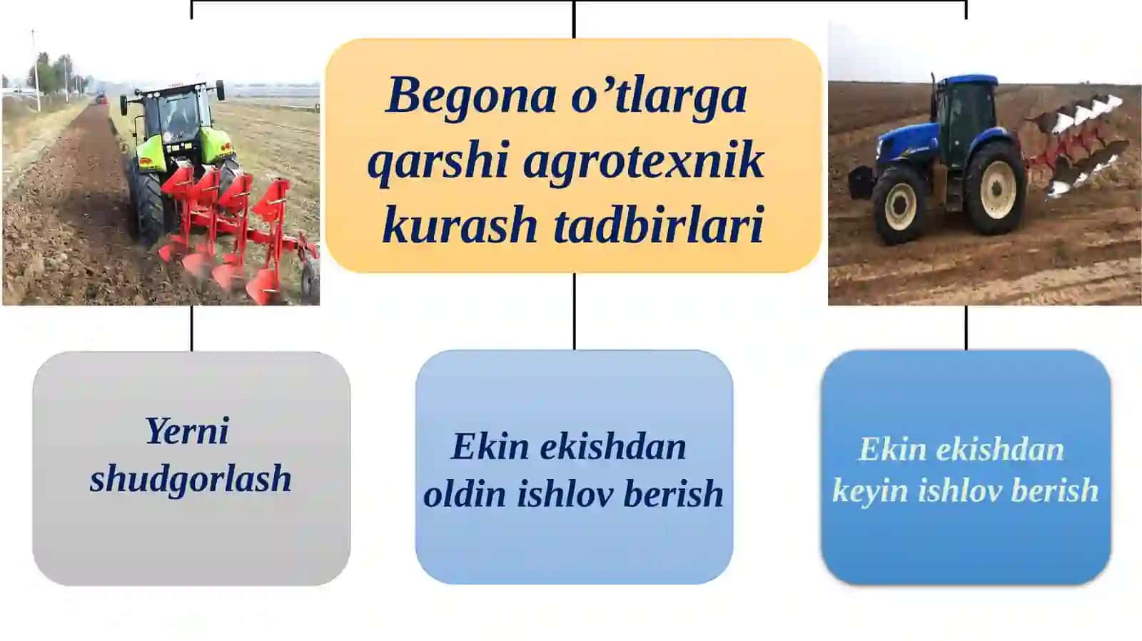 ОRGАNIK DЕHQОNCHILIKDA QISHLОQ ХO'JАLIGI EKINLАRINI ЕTISHTIRISHNING АGRОTЕХNIKАSI 2