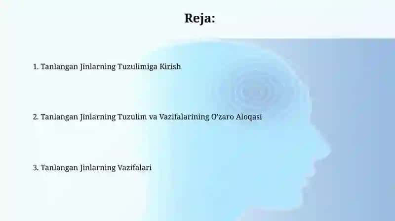 Tanlangan jinlarning tuzulishi va ishlashi 2