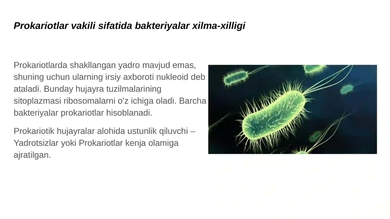 Biologiya - Prokariotlar va bakteriyalar xilma-xilligi 2