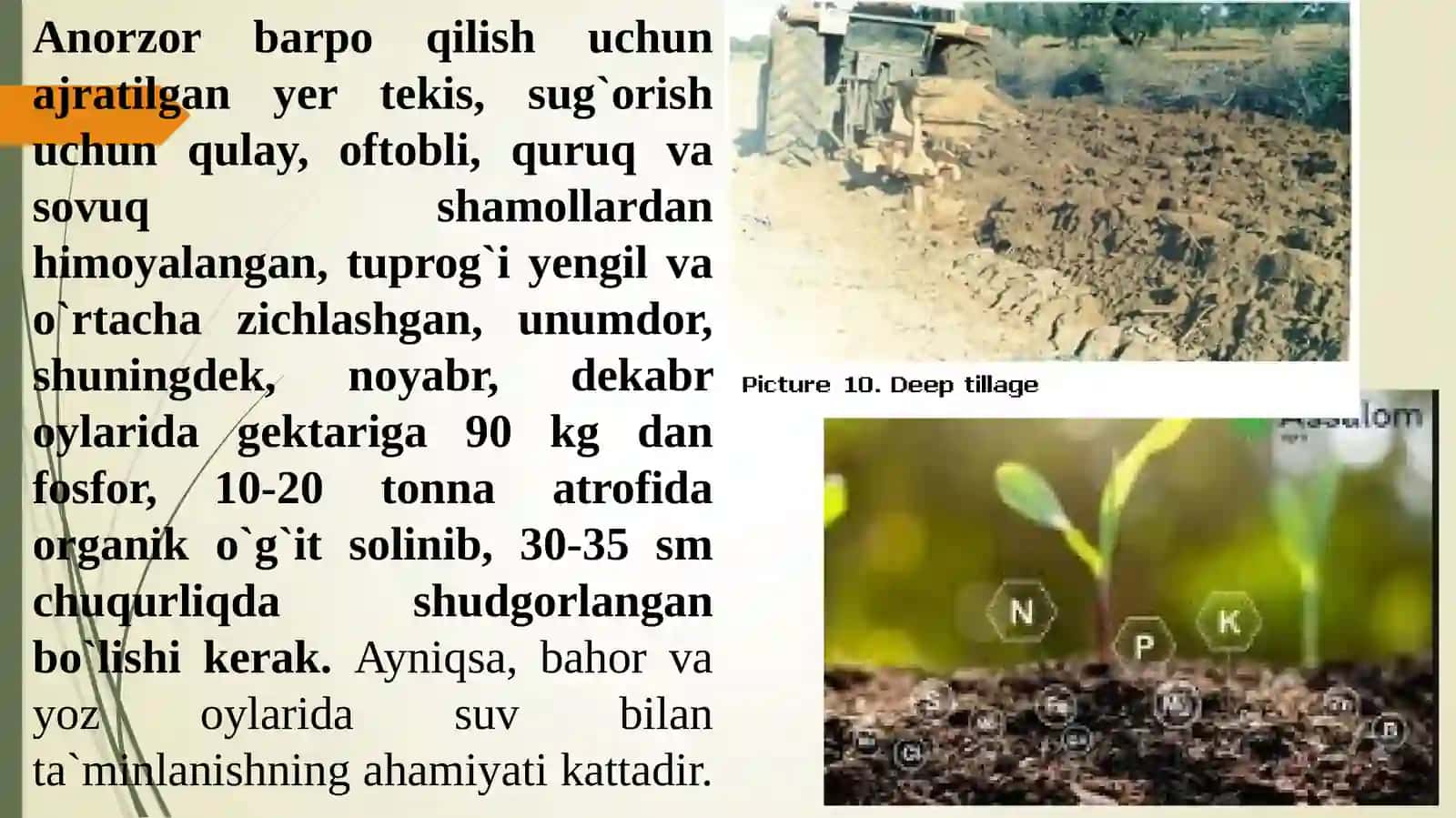 Anorzor barpo qilish va yerni ekishga tayyorlash 2