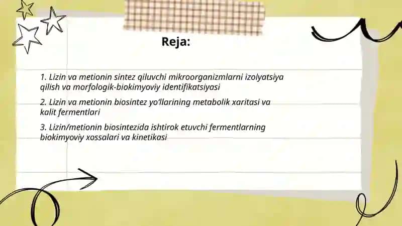 Lizin va metionin sintezqiluvchi mikroorganizmlarni urganish HaydarovaSitora 2