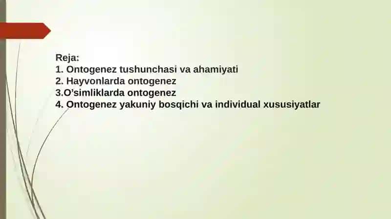 Ontogenez 2
