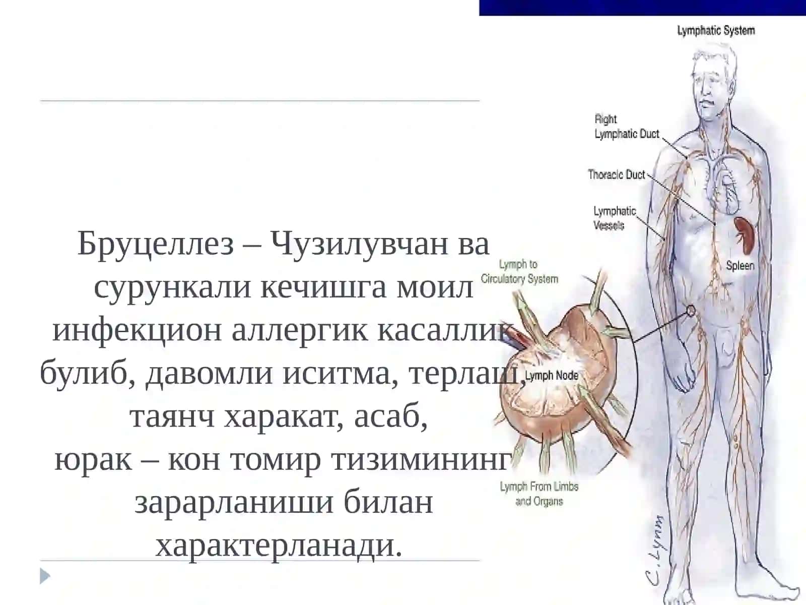 Бруцеллез 2