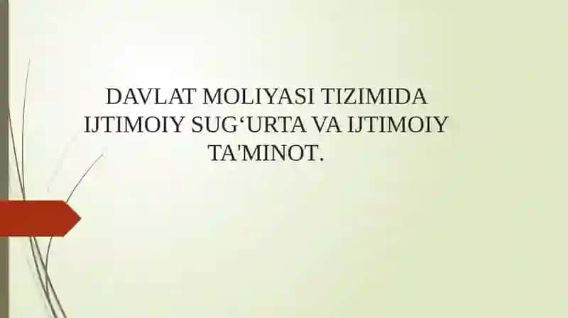 Davlat moliyasi tizimida ijtimoiy sug'urta va ijtimoiy ta'minot 2