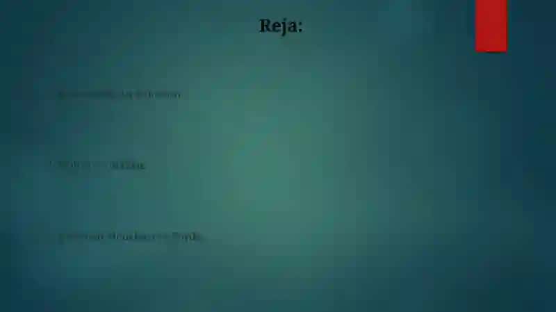 Beznes loyiha va stataplar 2