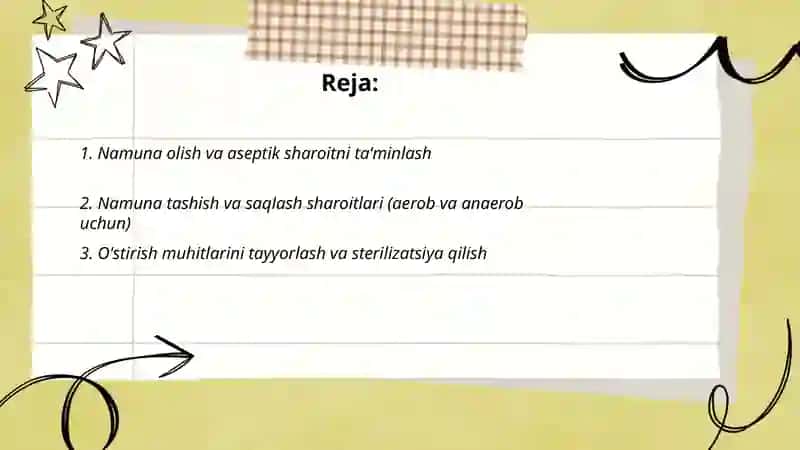 Aerob va anaerob bakteriyalarni sof xosilasini ajratish bosqichlari 2