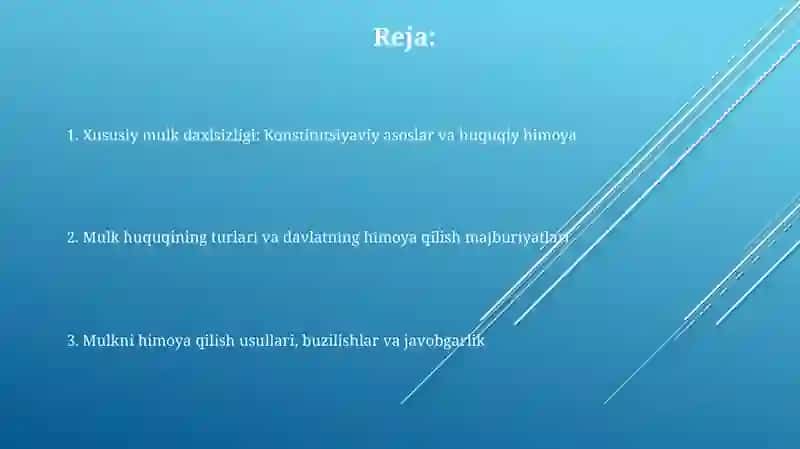Xususiy mulkning daxlsizligi va davlat tomonidan muhofaza qilinishi 2