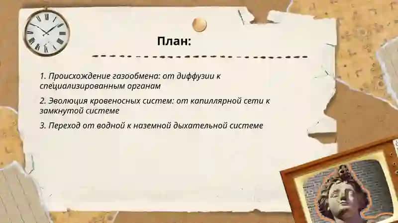 Эволюция кровообращения и дыхания 2