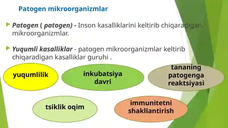 Ichakning yuqumli kasalliklari va ularning oldini olish 2
