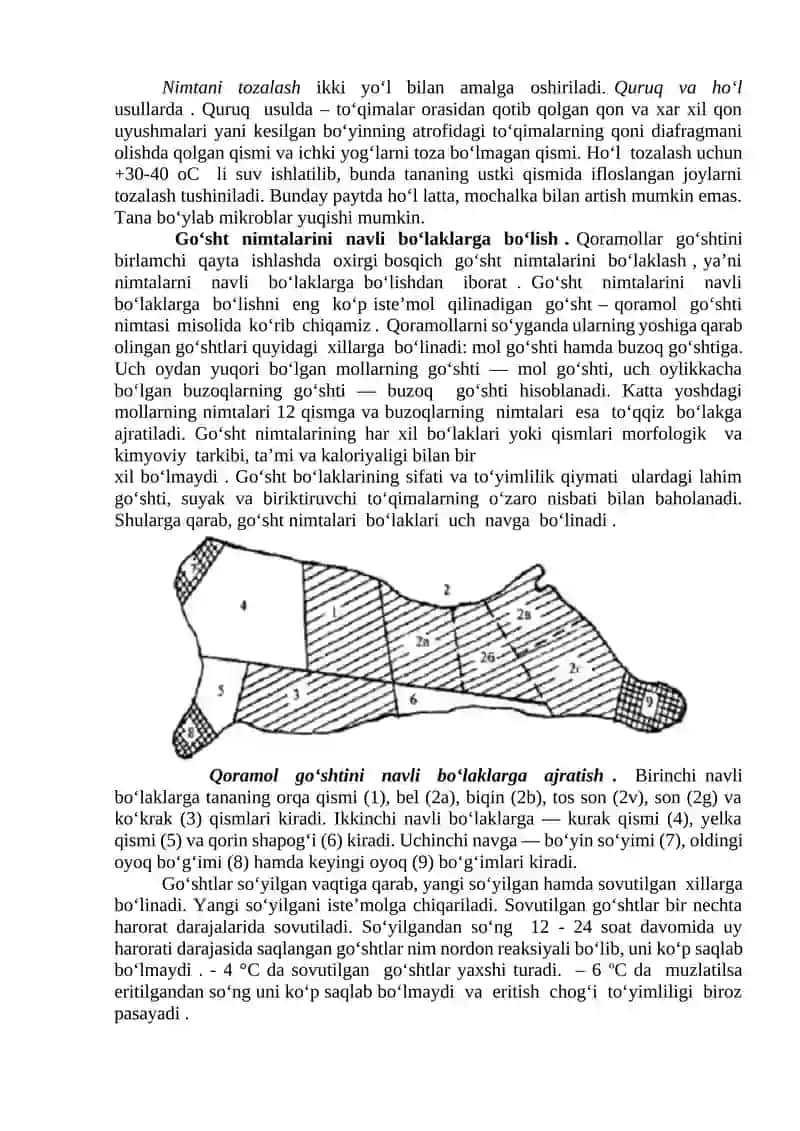 Qoramolni soʻyish texnologiyasi 2