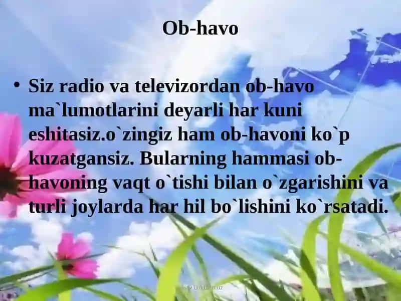 Ob-havo 2