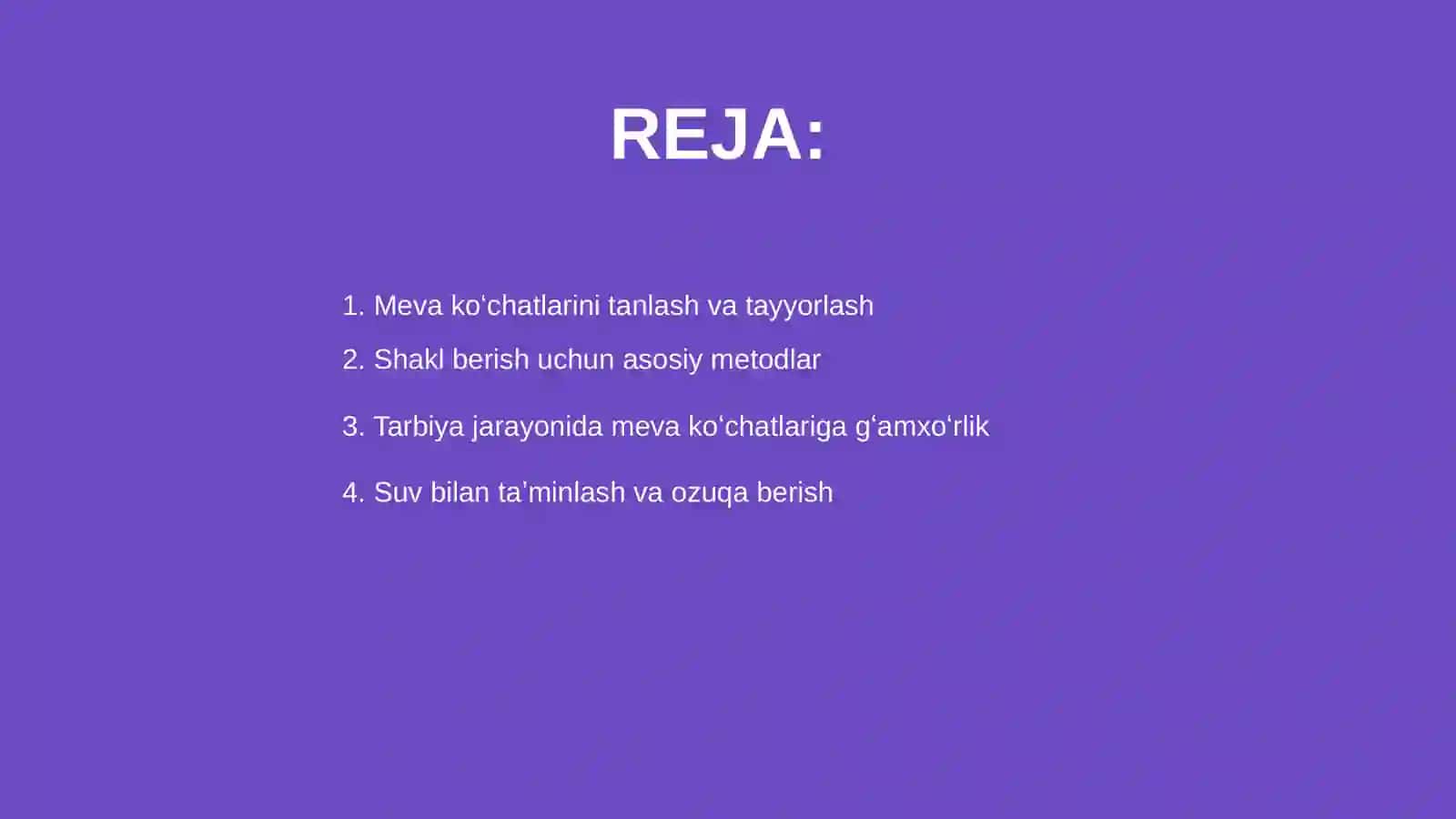Meva koʻchatlariga shakil berish va ularni tarbiyalash 2