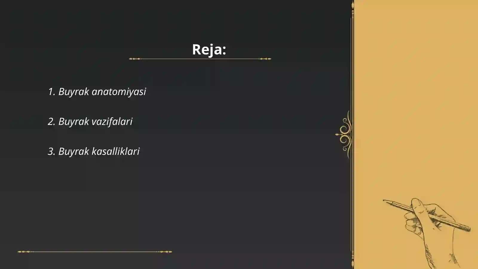 Buyrak 2