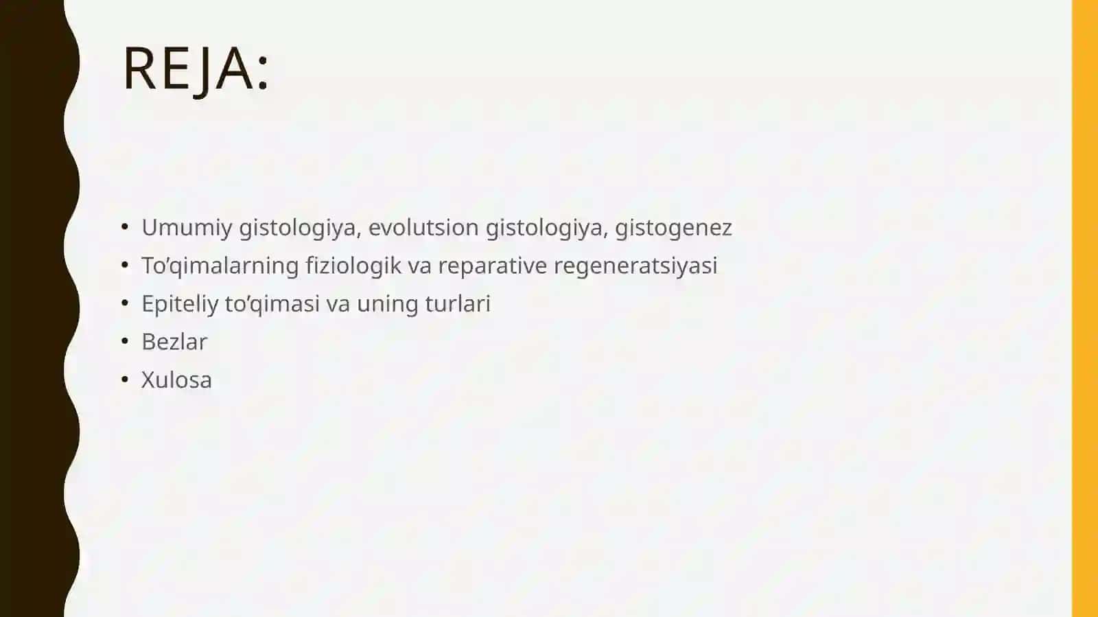 Toshkent davlat tibbiyot universiteti 2