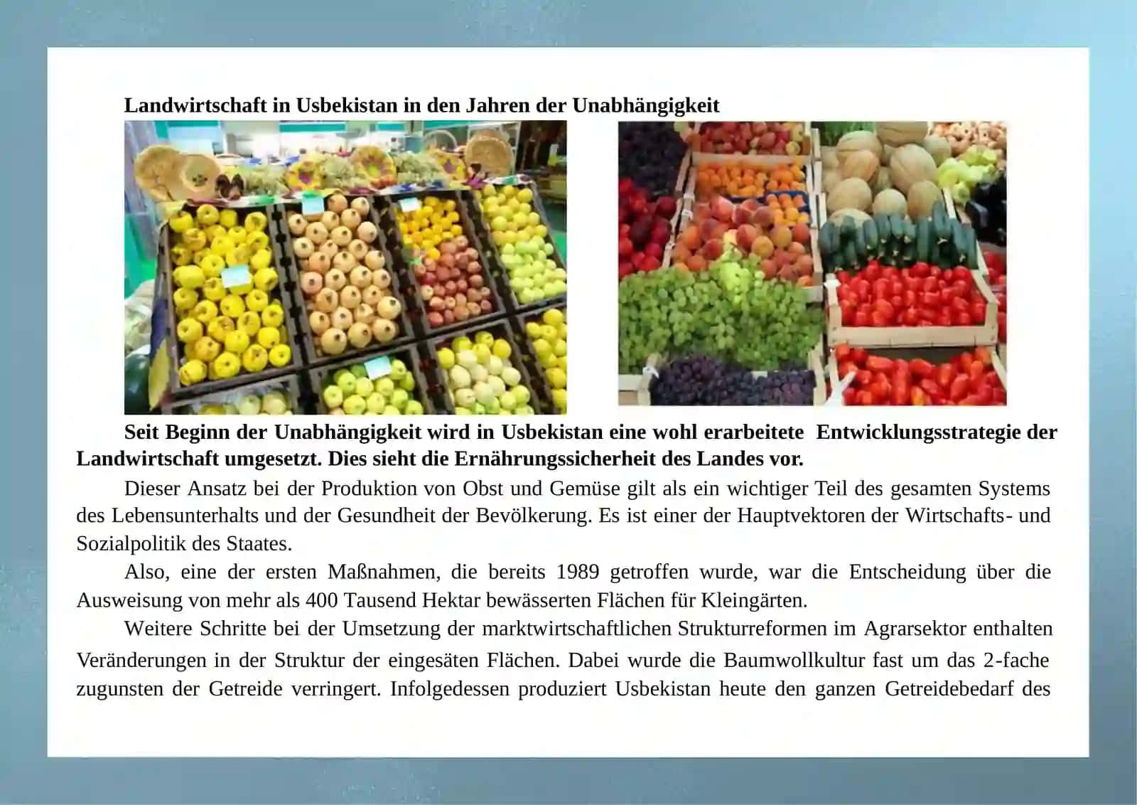Landwirtschaft in USBEKISTAN 2