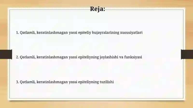Köp qavatli muguzlanmaydigan yassi epiteliyning qavatlarini tahlil qilish 2
