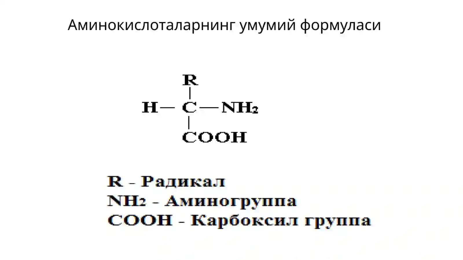 Oqsillar-Proteinlar(birinchi) 2